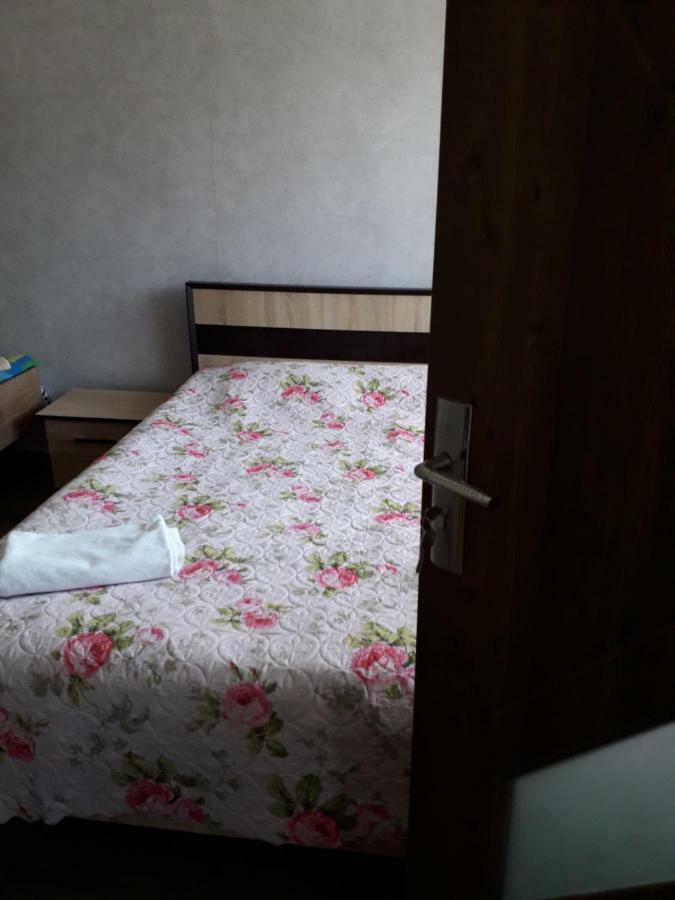 Alena'S Flat Apartment Borjomi Bagian luar foto