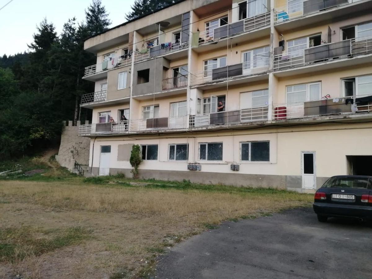 Alena'S Flat Apartment Borjomi Bagian luar foto