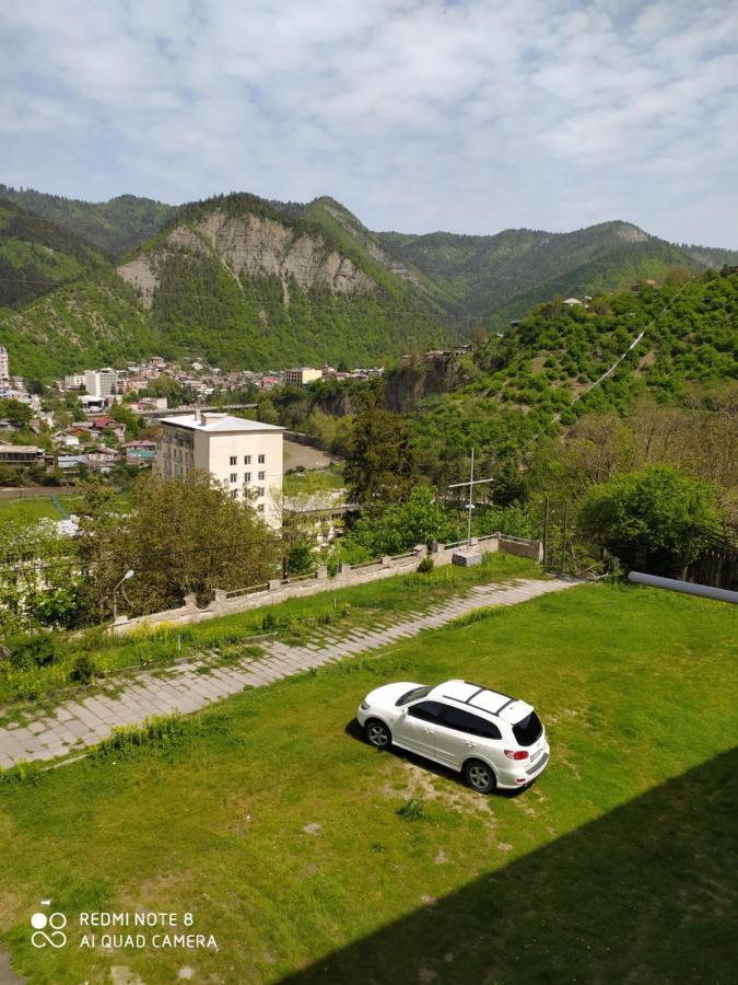 Alena'S Flat Apartment Borjomi Bagian luar foto